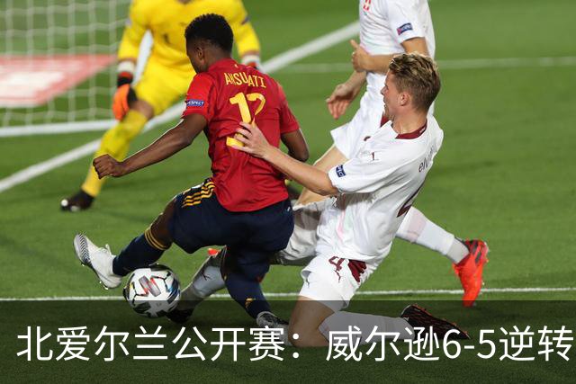 北爱尔兰公开赛：威尔逊6-5逆转绝杀克雷吉，囧哥赛季首进排名赛决赛