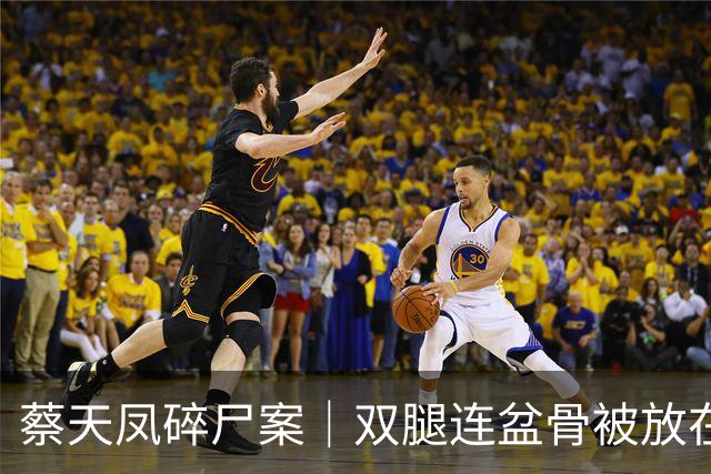 蔡天凤碎尸案｜双腿连盆骨被放在冰箱内，政府化验师形容“骨上面有点肉”